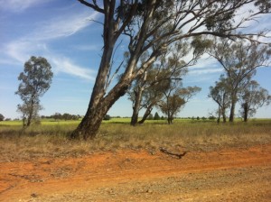 Road to Temora