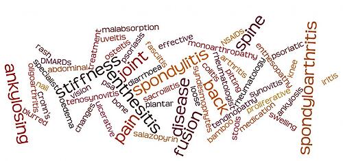 Wordle SpA