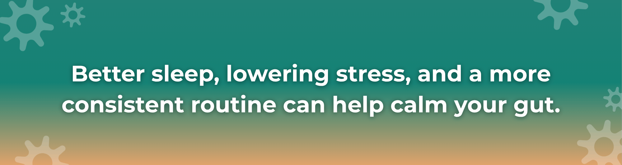 Calming the gut 1