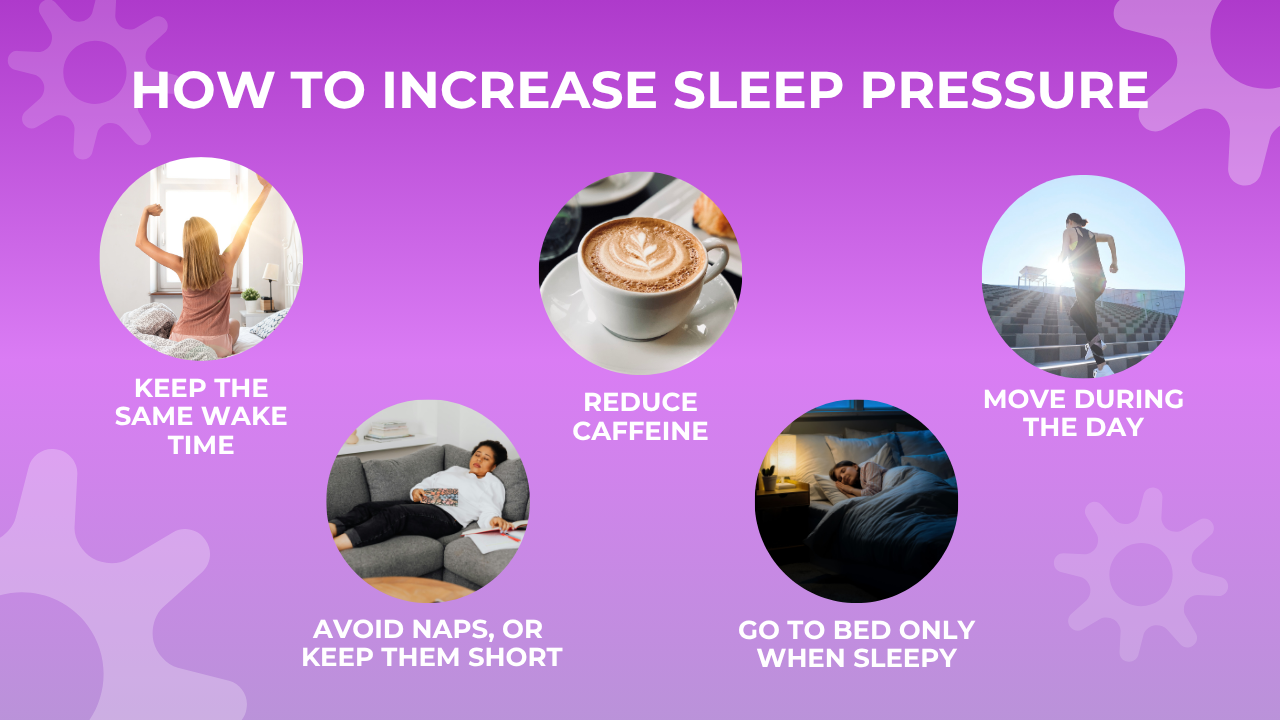 Sleep and the Anxious Brain 2