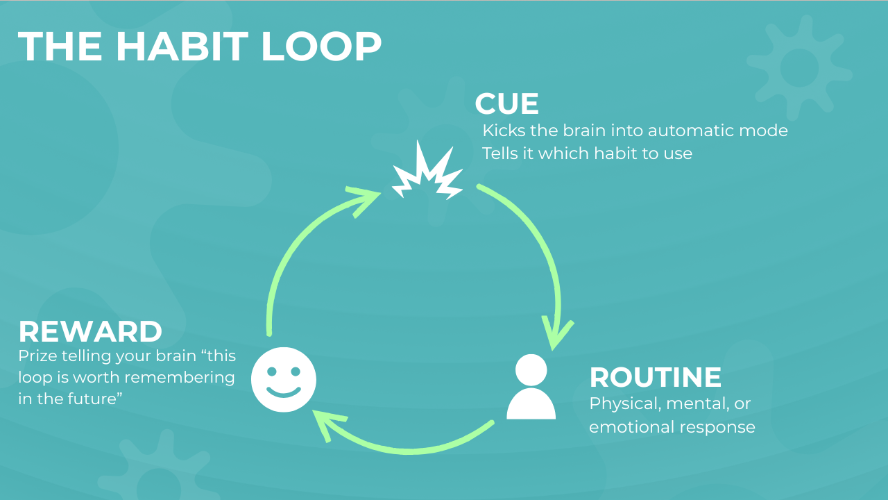 Circular diagram of the Habit Loop: "Cue" points to "routine" which leads to "reward" which leads back around to "cue"