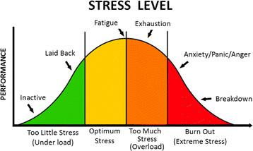 STRESS LEVEL