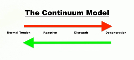 The Continuum Model